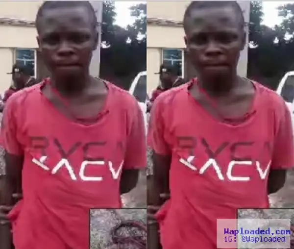 Robber Collapses After Being Hit With Own Charm